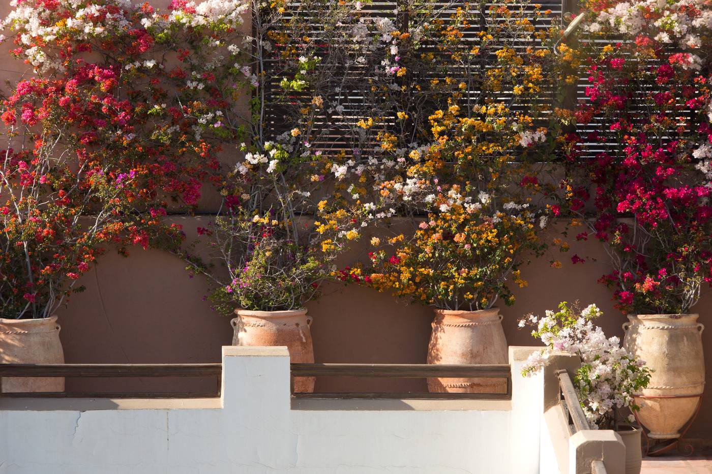 Les-Jardins-de-la-Medina-Terrace-14