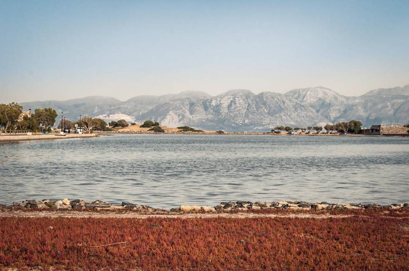 Elounda-Olive-Garden-Studios-General-view-20