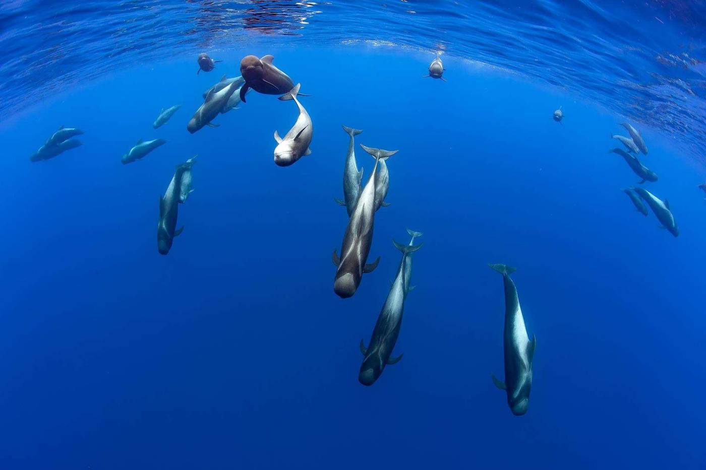 Landmar-Hotel-Costa-de-los-Gigantes-General-view-23