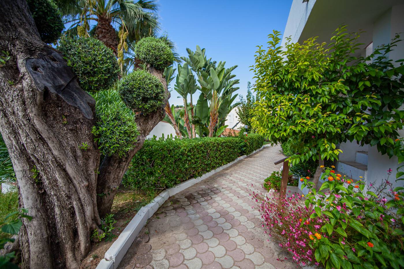 Villaggio Baia D'Ercole-Italy-RICADI-General view-7