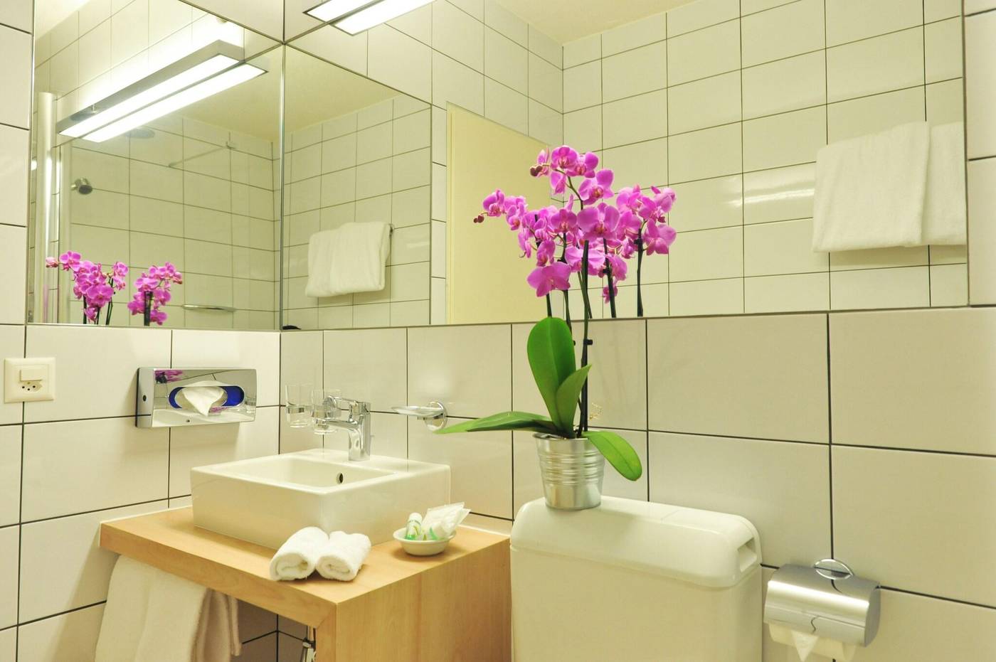 Des-Alpes-Geneva-Room-19