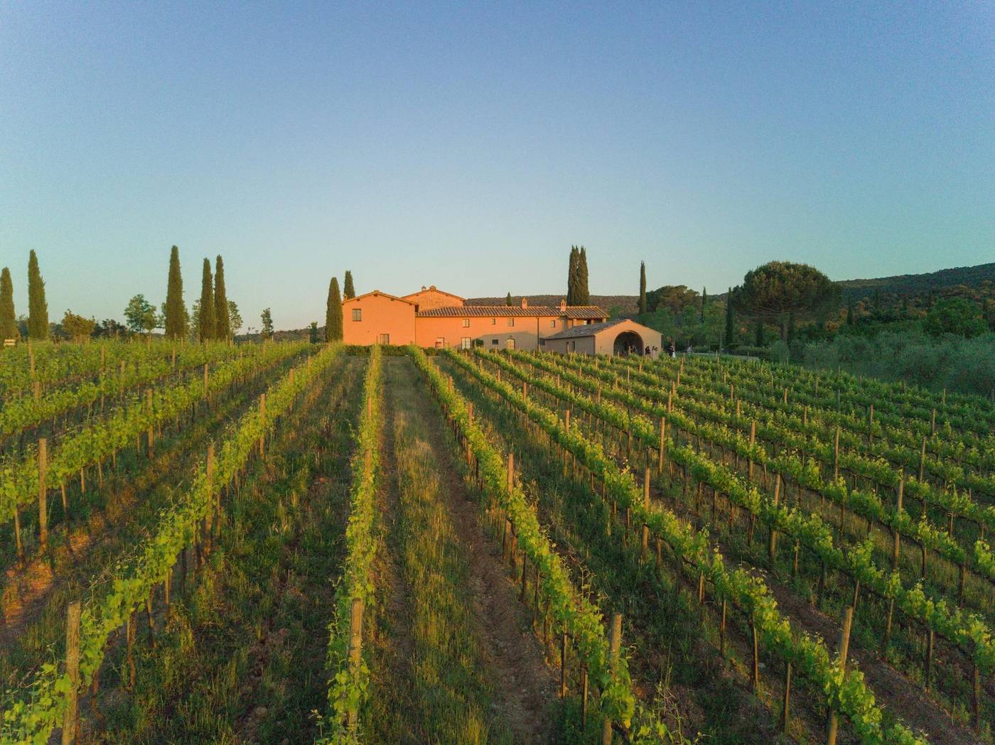 La-Caminata-Sports-and-Entertainment-27