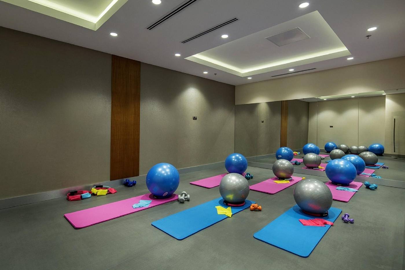 DoubleTree-by-Hilton-Istanbul-Topkapi-Sports-and-Entertainment-53