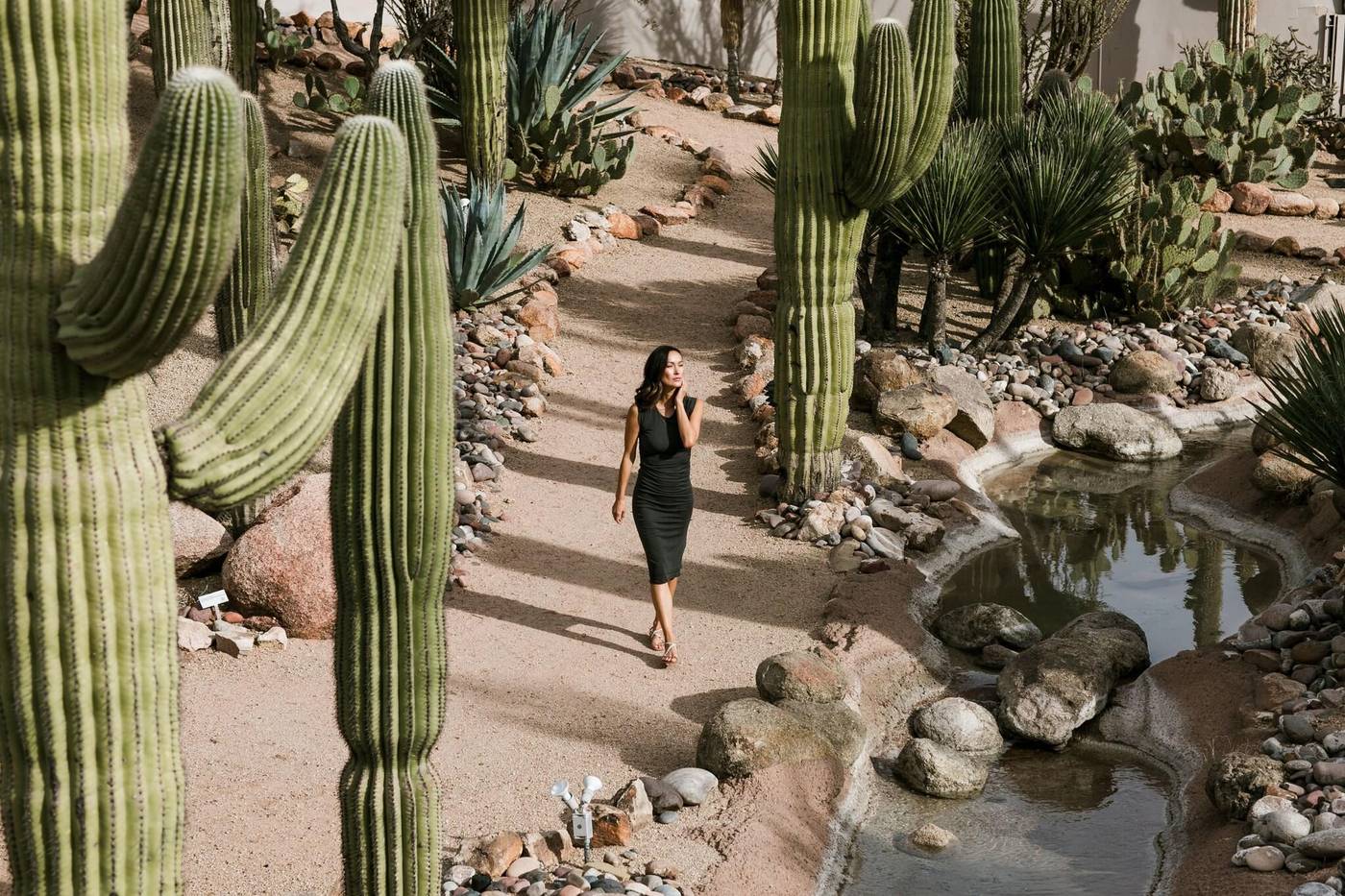 Civana Carefree-United States-Carefree-General view-2