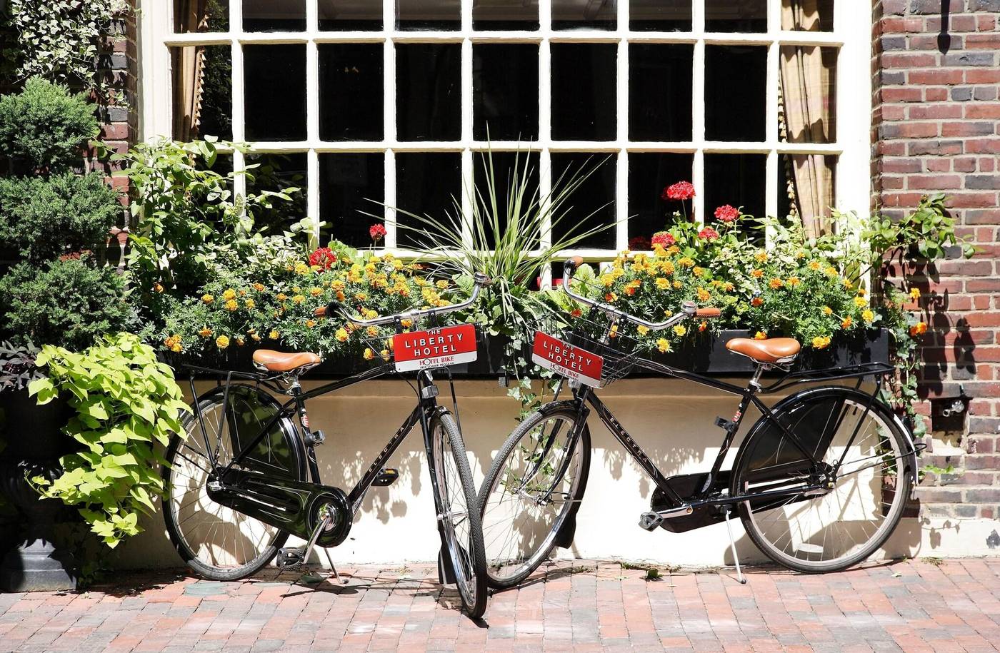 The-Liberty--a-Luxury-Collection-Hotel--Boston-Sports-and-Entertainment-11