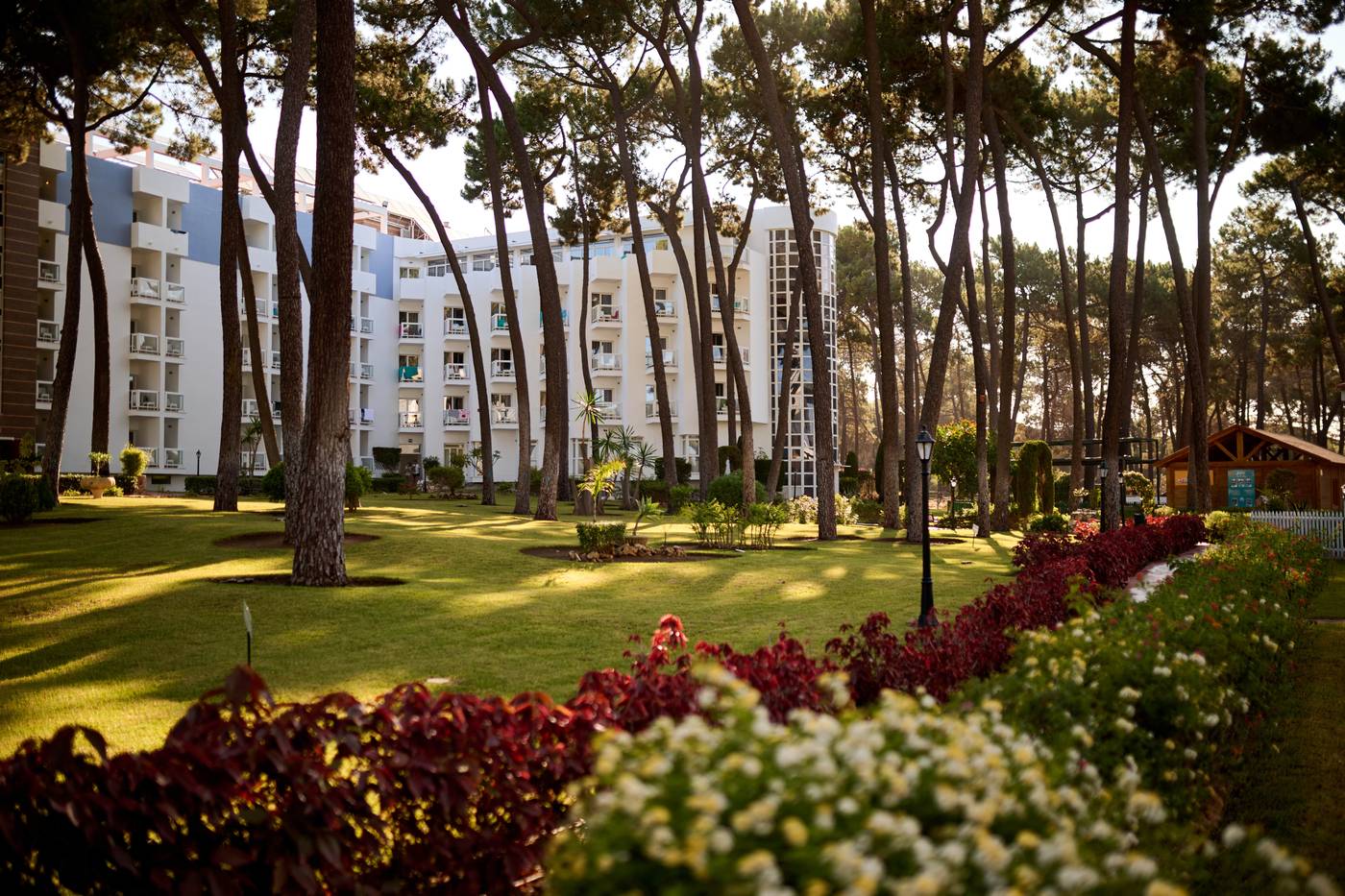 Alua-Sun-Marbella-Park-Terrace-17