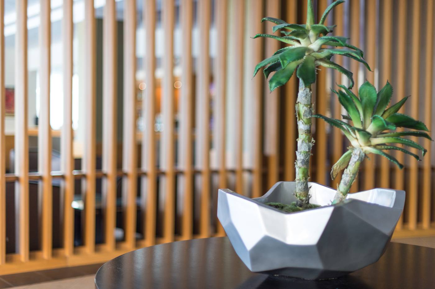 Vila Baleira Porto Santo-Portugal-PORTO SANTO ISLAND-Lobby-10