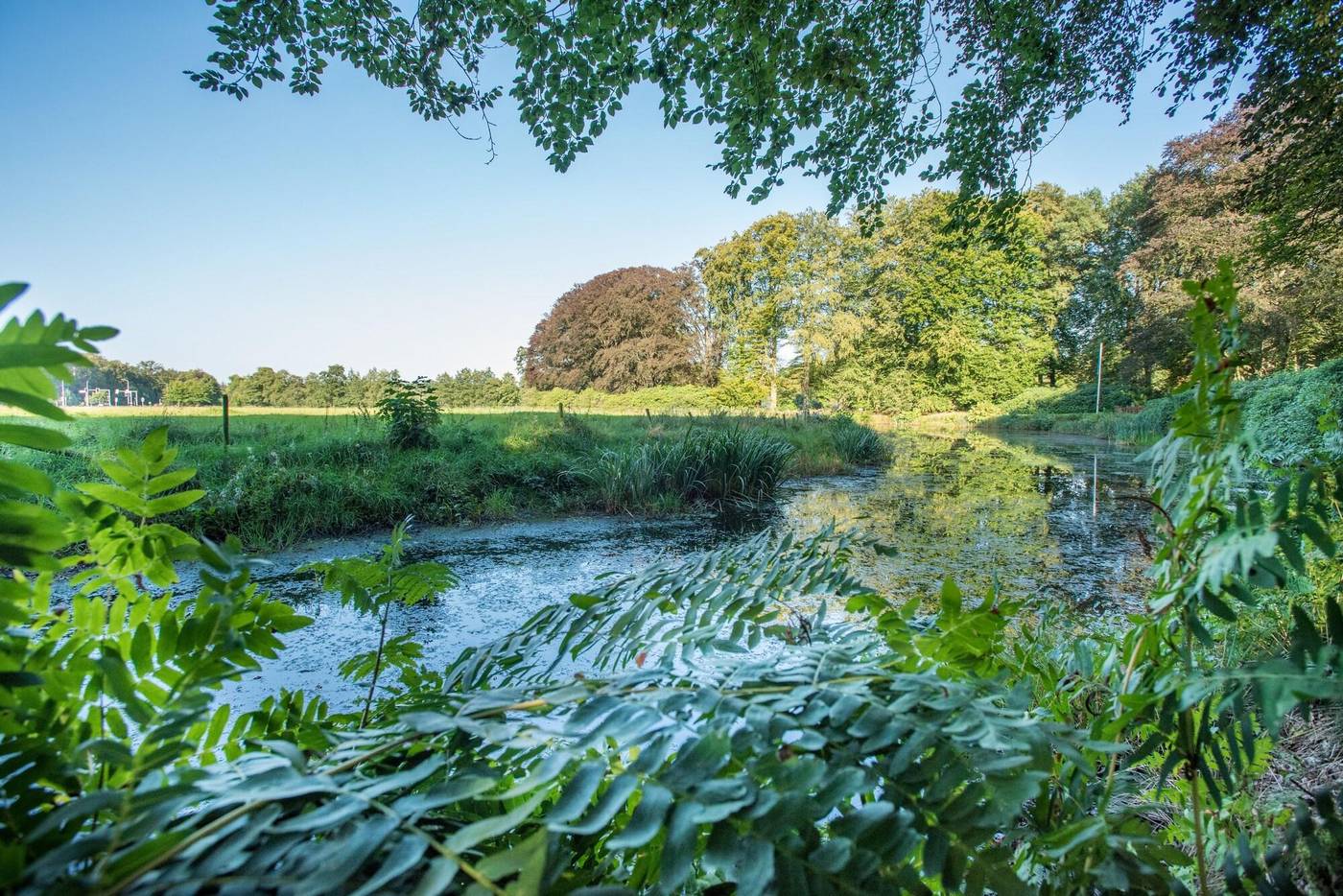 Hotel Ernst Sillem Hoeve-Netherlands-DEN DOLDER-General view-4