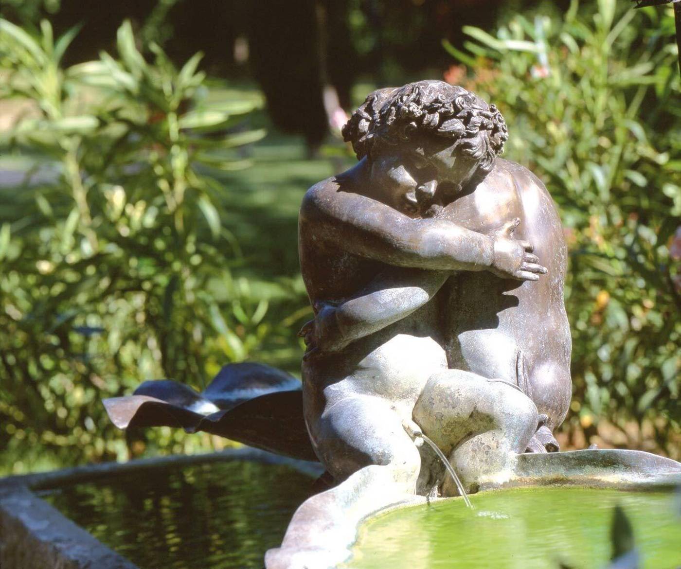 Domaine d'Auriac-France-CARCASSONNE-General view-3