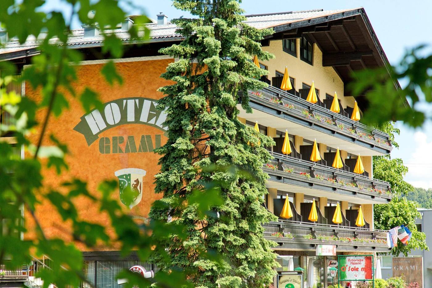Berghof Graml-Austria-HALLWANG-General view-1