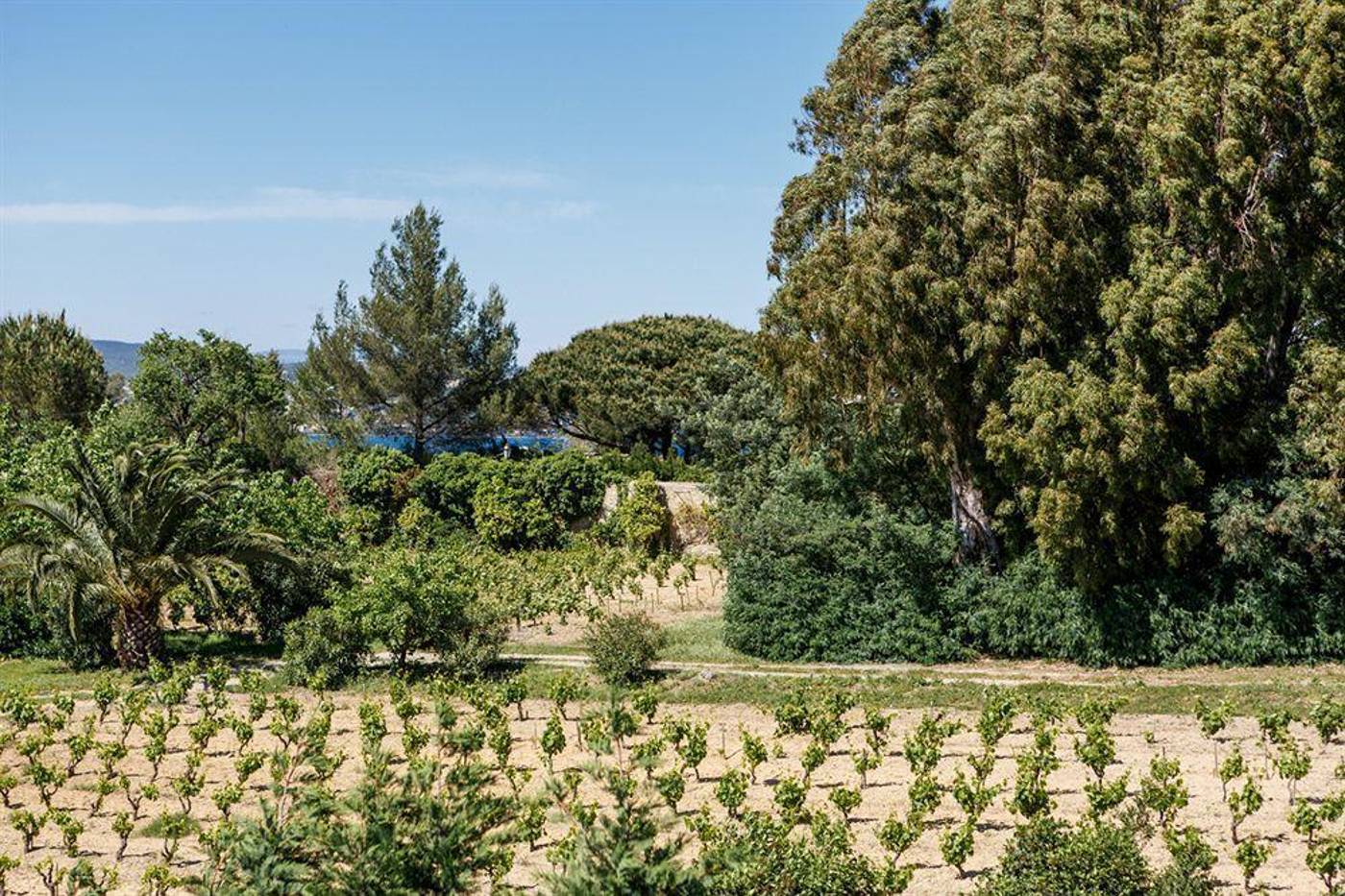 Le-Mandala-General-view-7