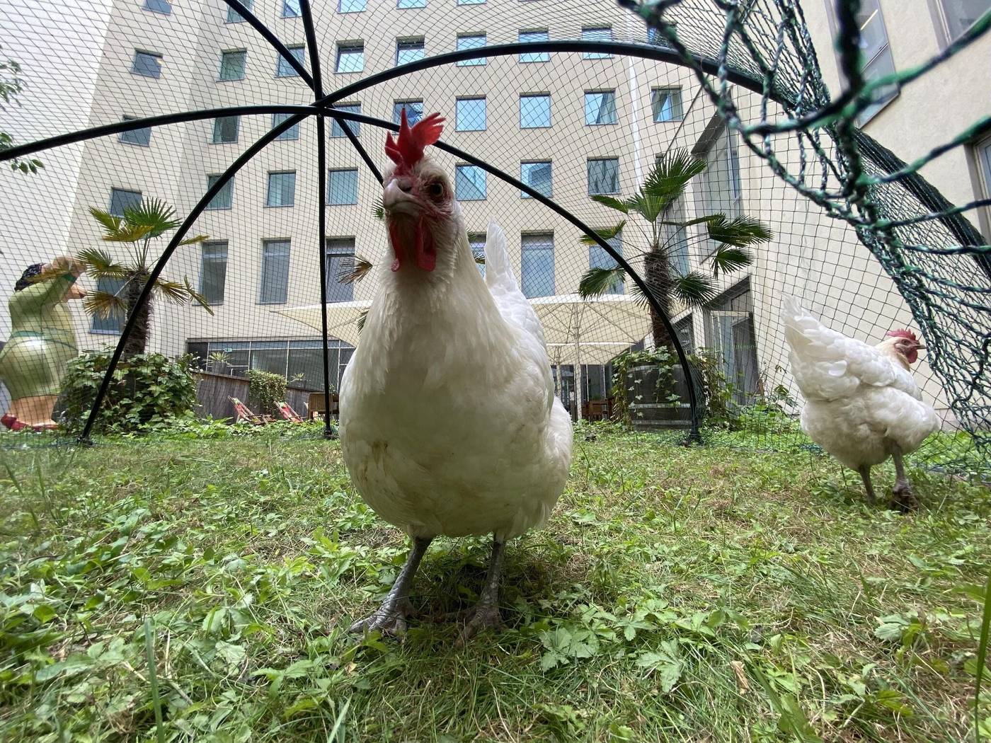 Lindner-Hotel-Berlin-Ku-damm--part-of-JdV-by-Hyatt-Terrace-67