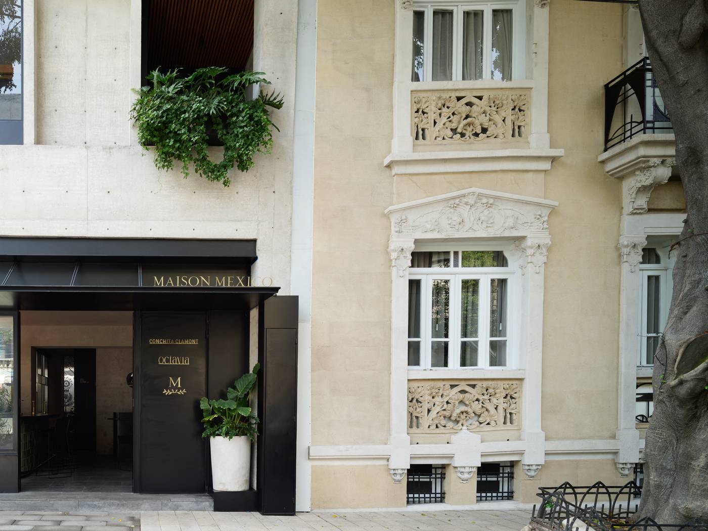 Maison Mexico Roma-Mexico-Mexico City-General view-6