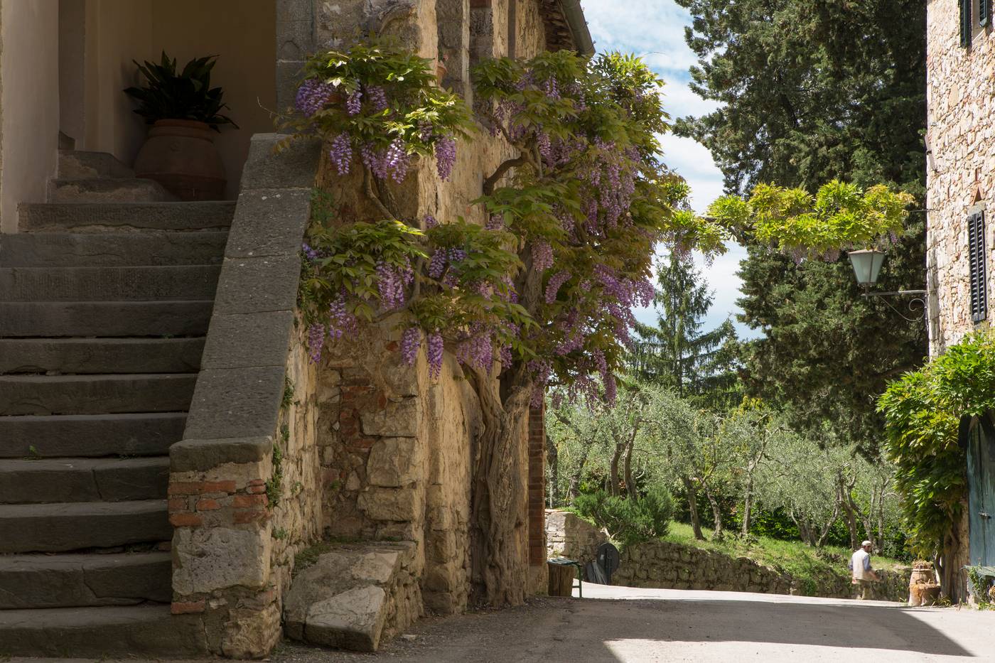 Castello di Fonterutoli-Italy-FONTERUTOLI, CASTELLINA IN CHIANTI-General view-2