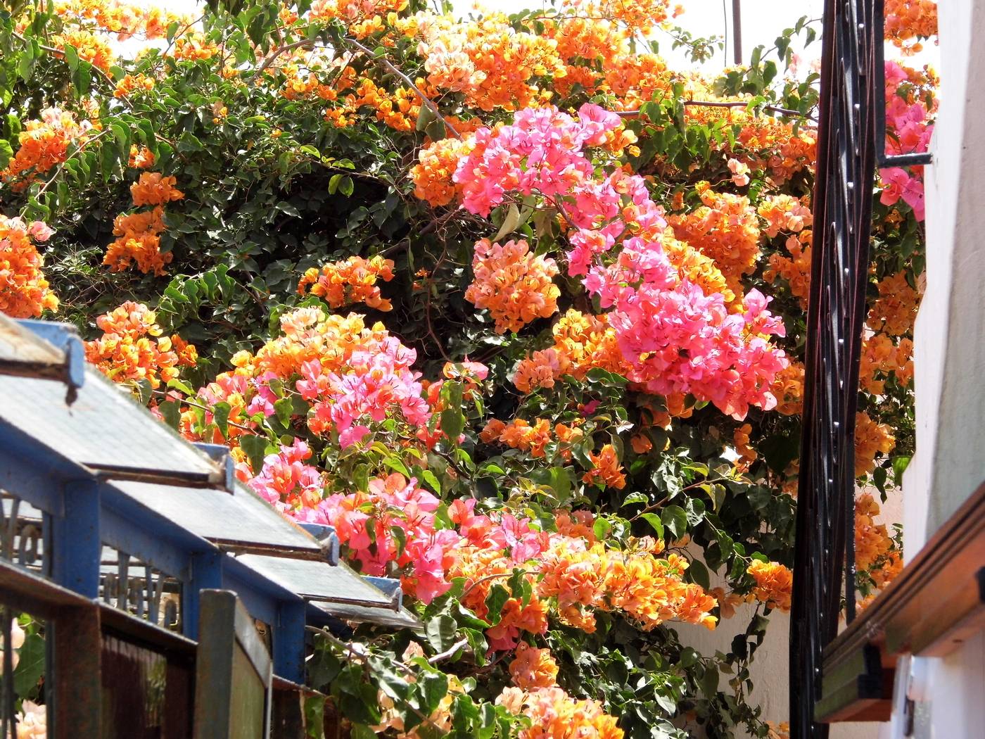 Marlinea-Morocco-SALE-General view-8