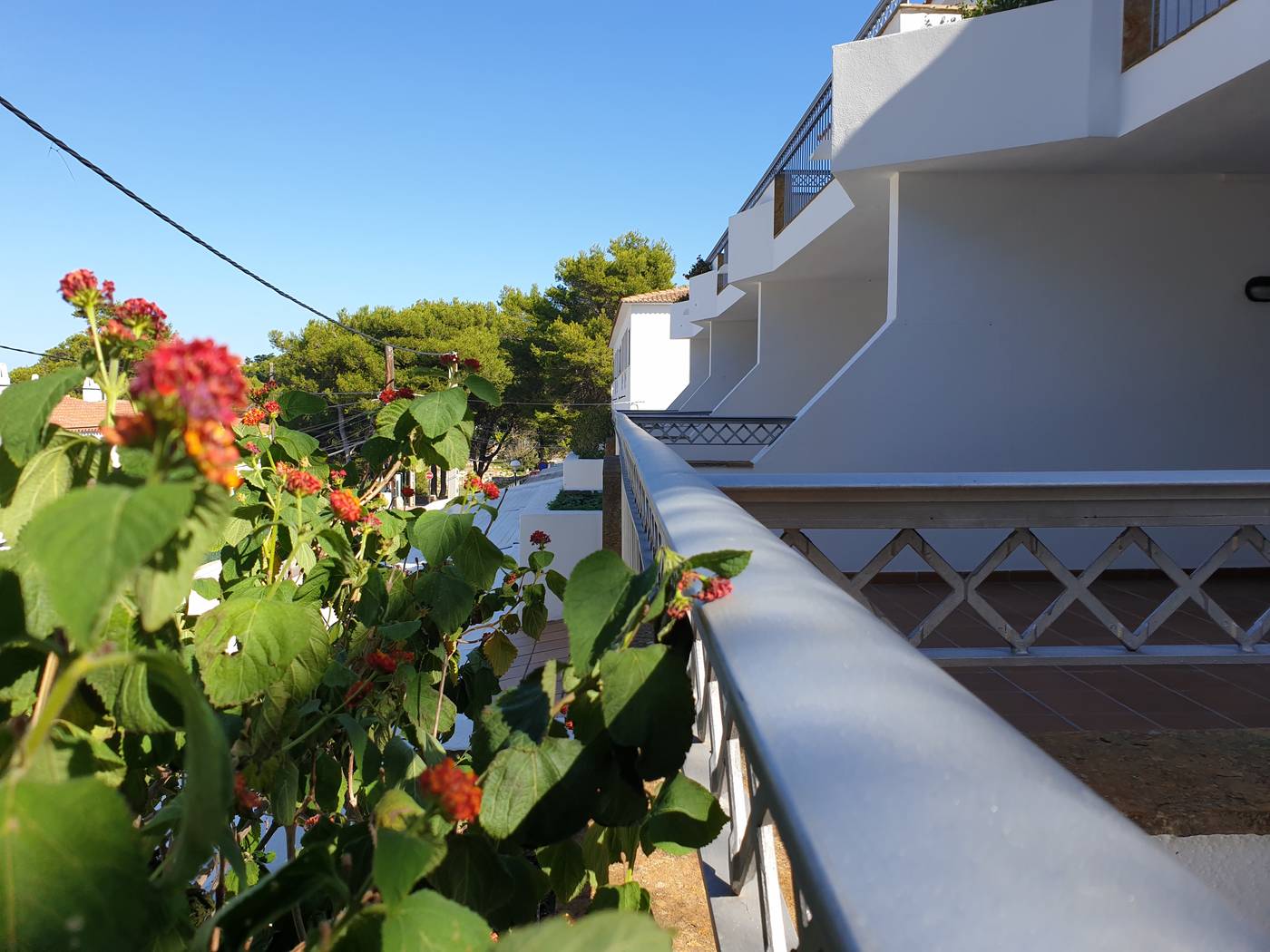 Piscis-General-view-6