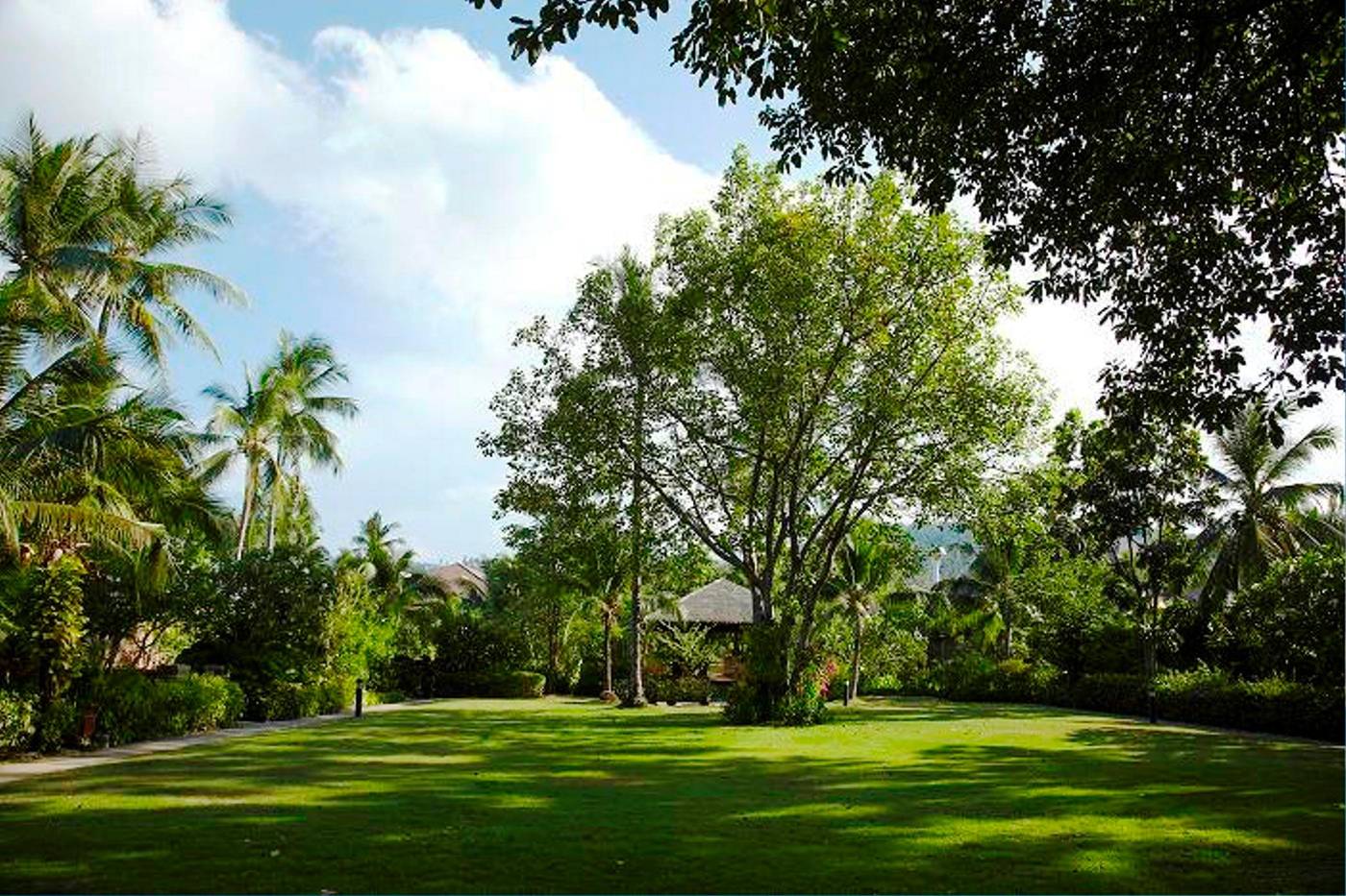 Bandara-Resort---Spa-Terrace-19