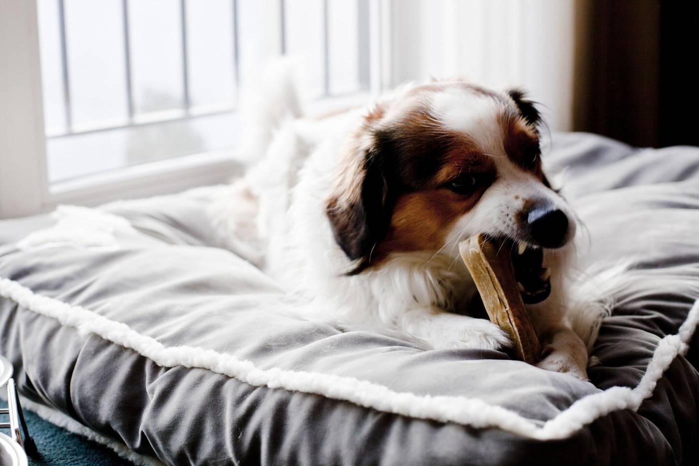 Relexa-Stuttgarter-Hof-General-view-9