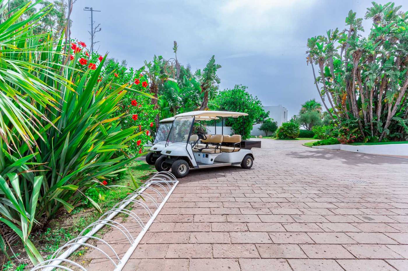 Flamingo-Hotel-General-view-15