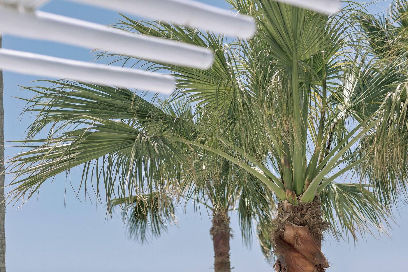 Mykonos-Blanc-Hotel-Room-86