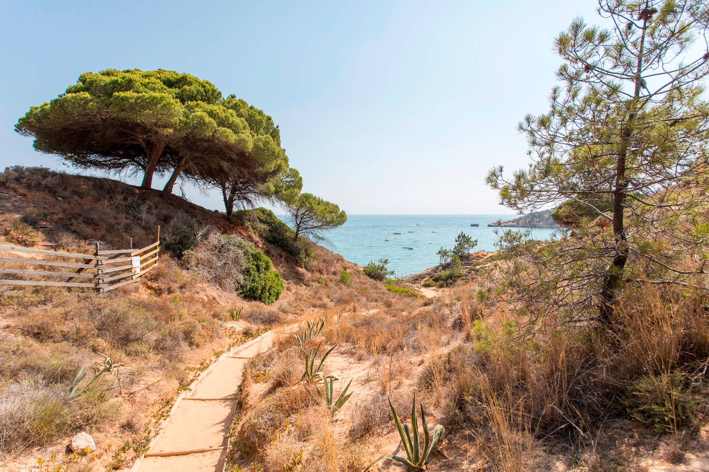 Alfagar-Village-General-view-61