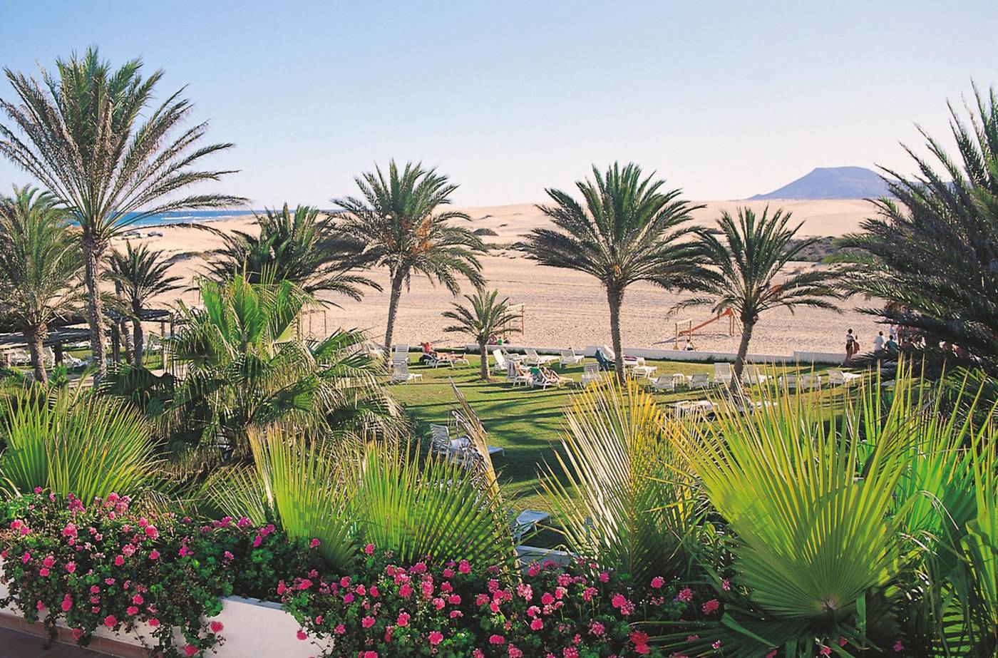 Riu-Oliva-Beach-Terrace-17