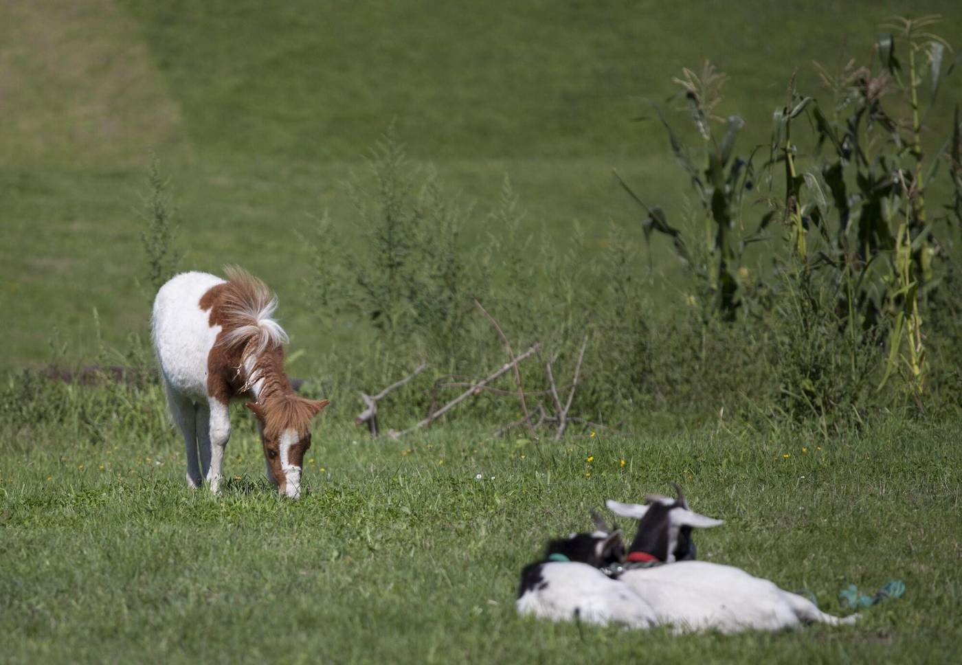 La Llosa De Fombona-Spain-SUSACASA-General view-1