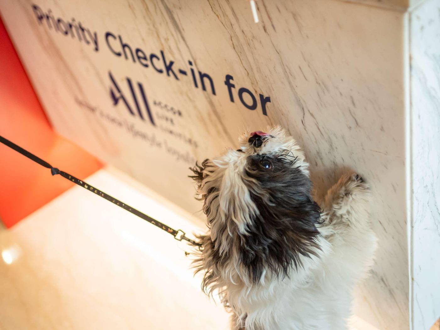 ibis-Villepinte-Parc-Expos-Sports-and-Entertainment-19