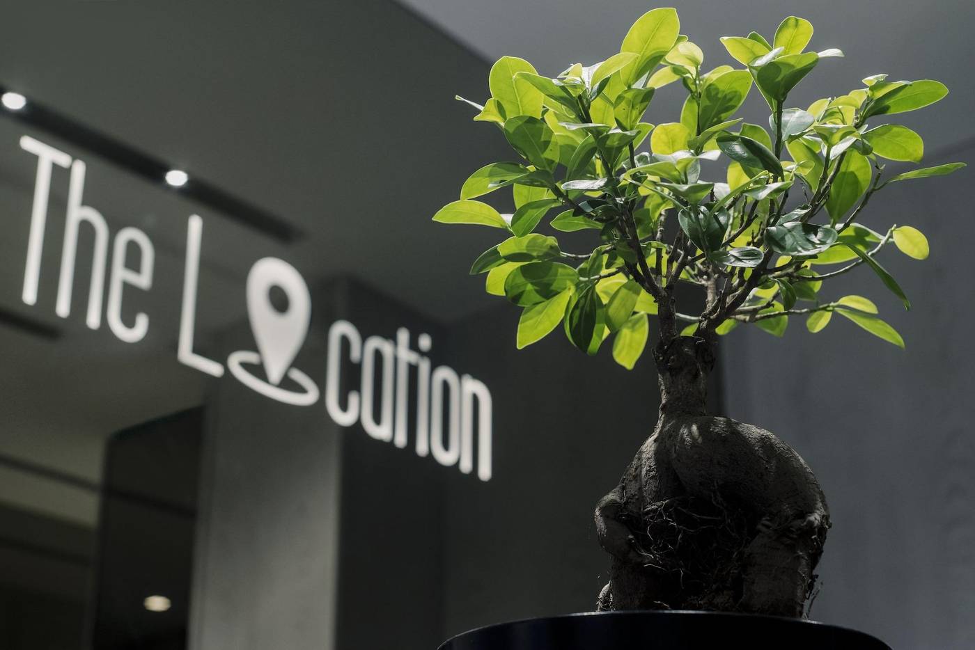 The Location Hotel-Serbia-Belgrade-General view-4