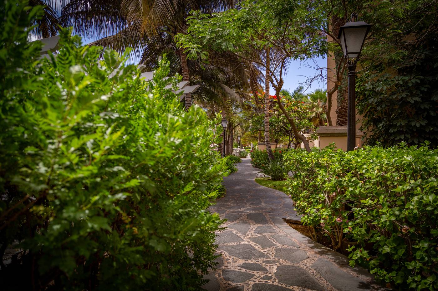 Palm-Oasis-Maspalomas-General-view-33
