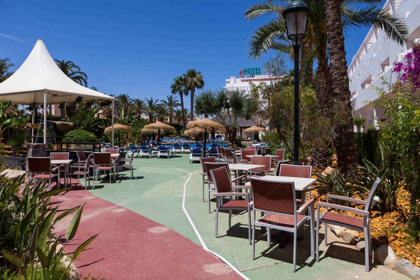 Apartamentos-M----xico-Terrace-27