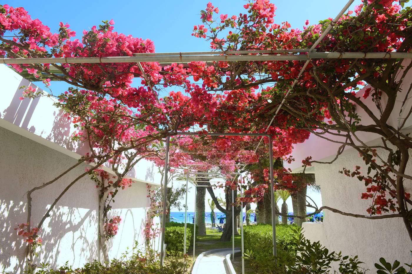 Blue-Horizon-Terrace-20