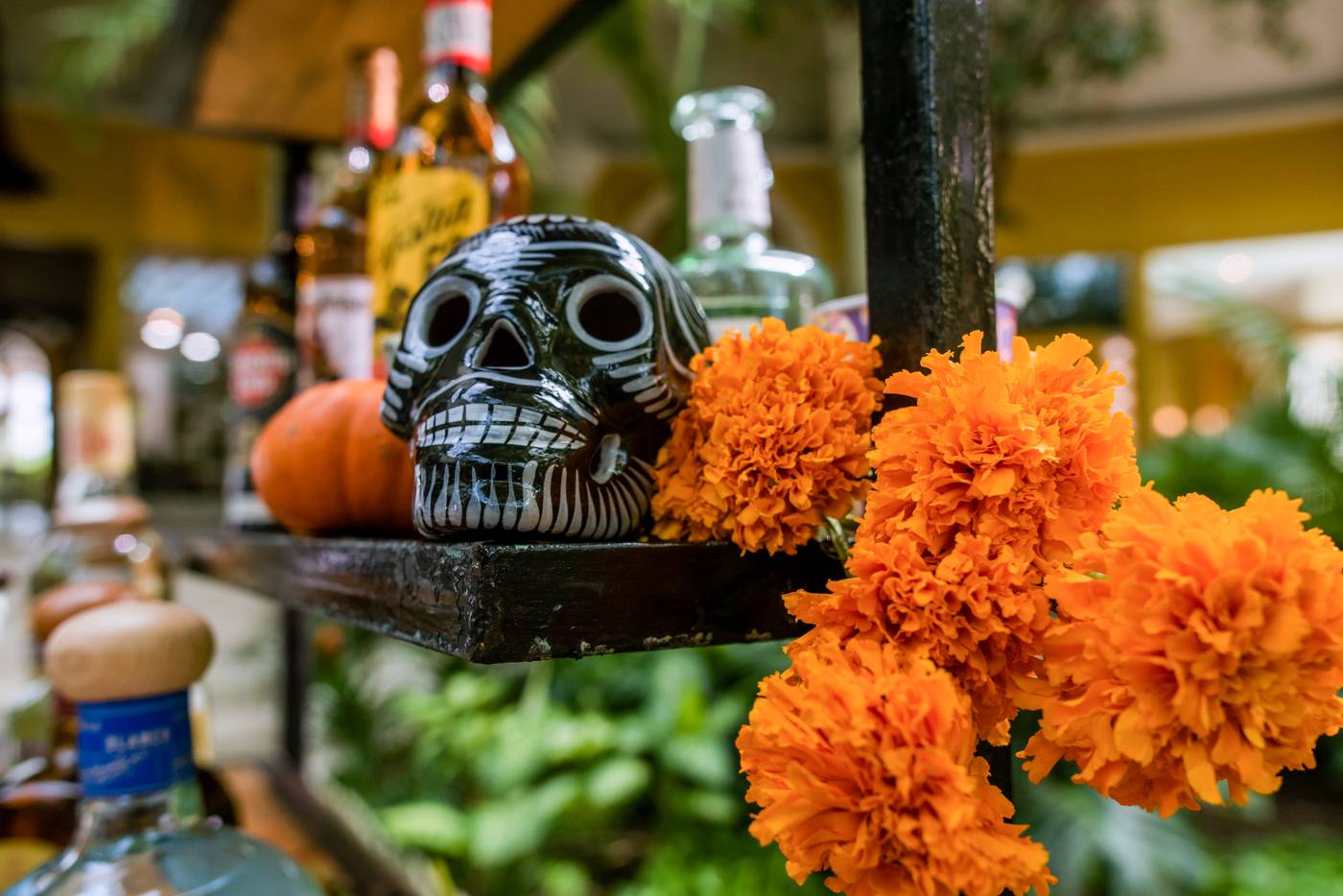 Iberostar-Grand-Paraiso-All-Inclusive-Bar-55