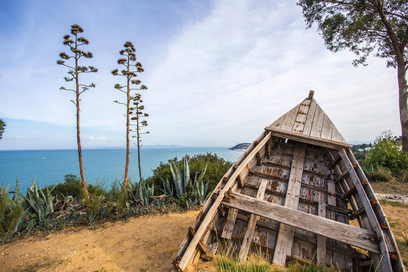 Golden-Carthage-Residence-General-view-20