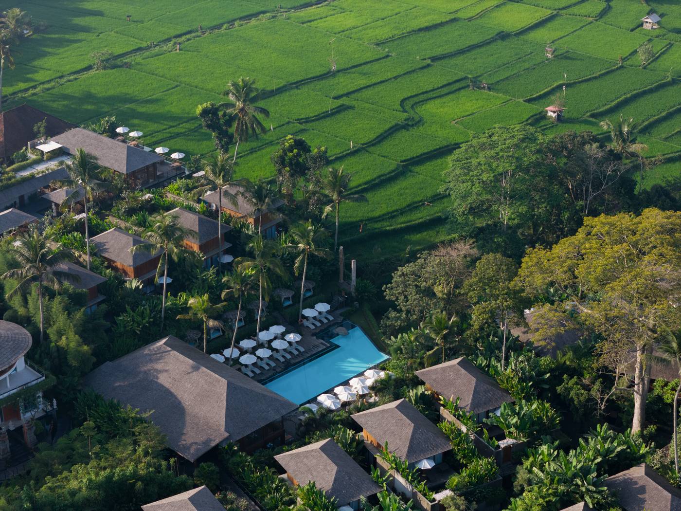 Kappa Senses Ubud-Indonesia-Bali-General view-3