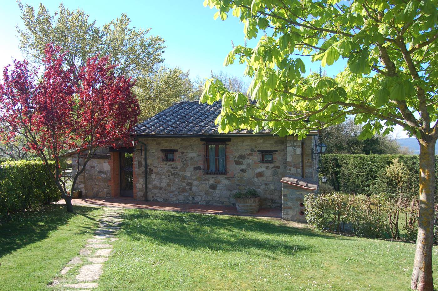 Colle-Etrusco-Salivolpi-General-view-34