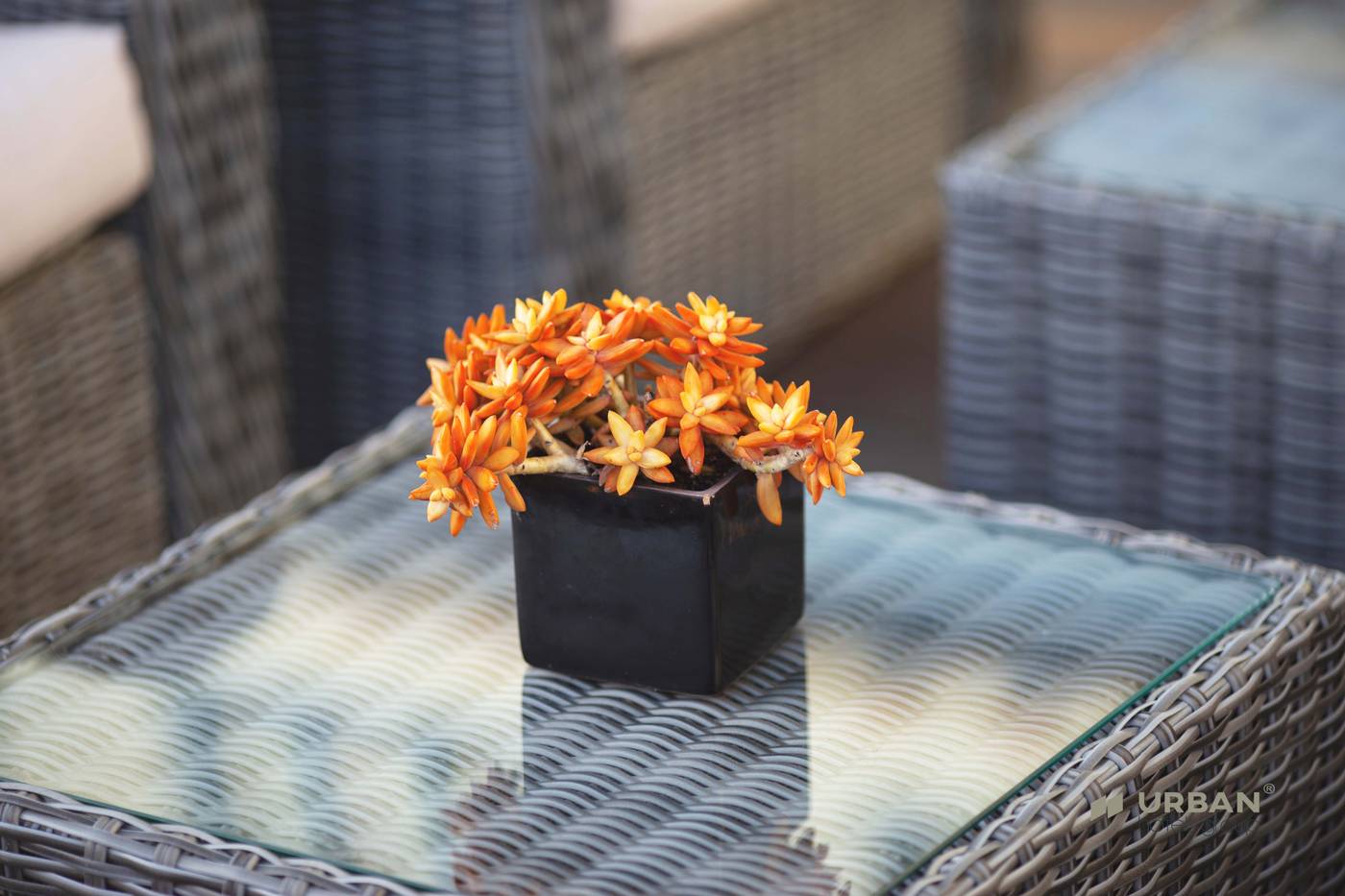 Hotel-Santa-Eulalia-Praia-Pool-70