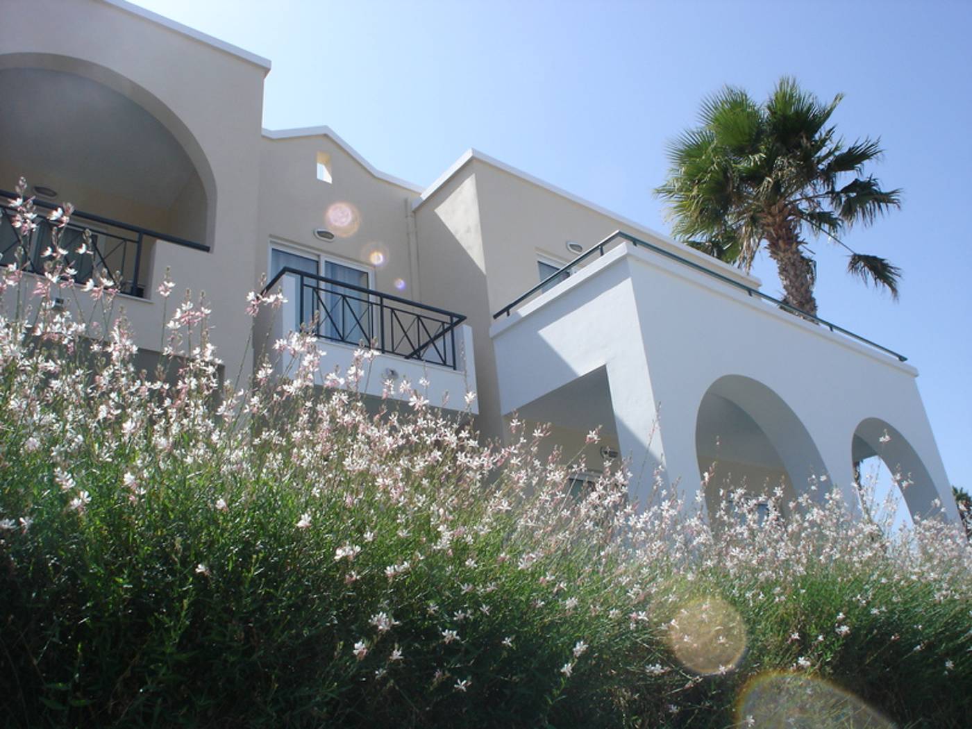 Andromeda in Kos, Greece