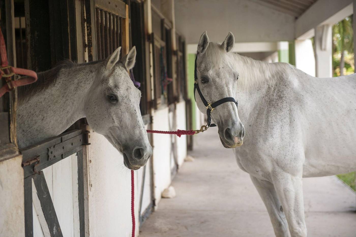 Half-Moon-General-view-80