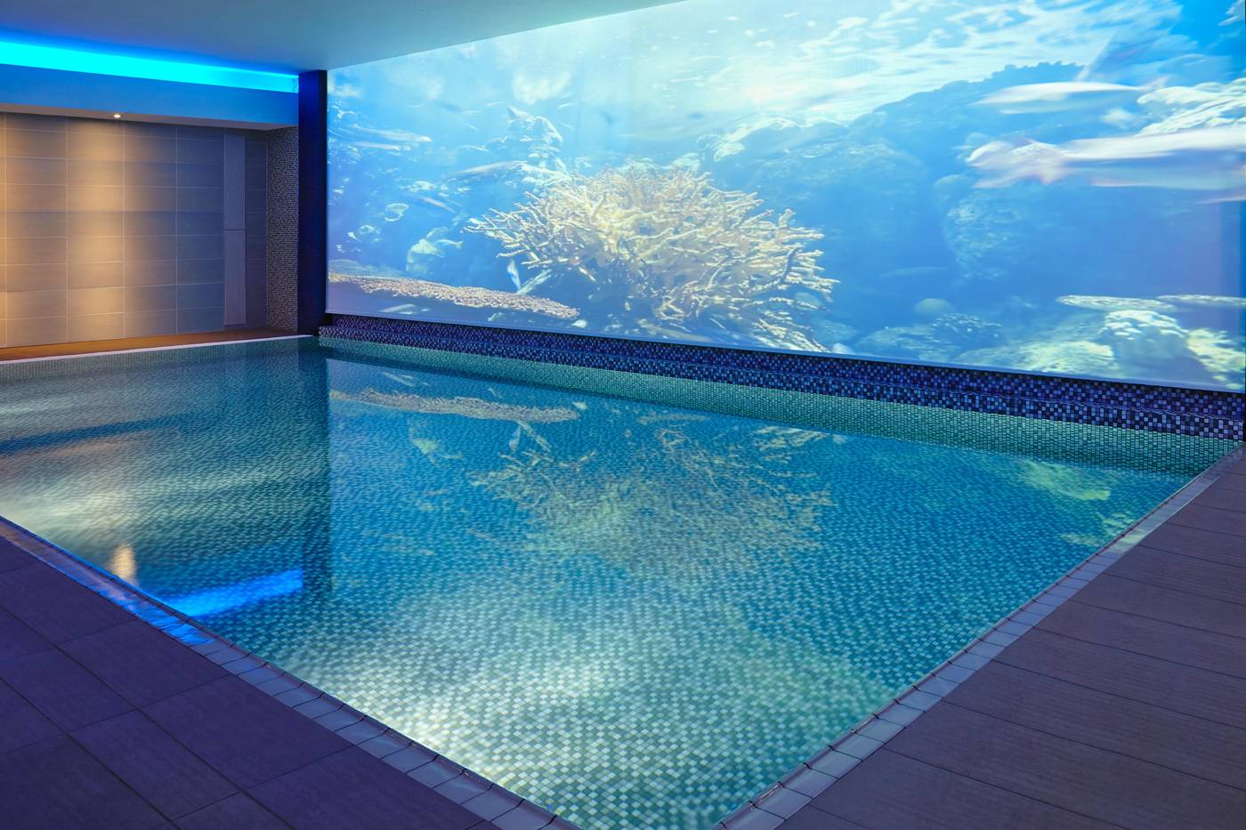 Novotel London Blackfriars - United Kingdom - LONDON - Pool - 7