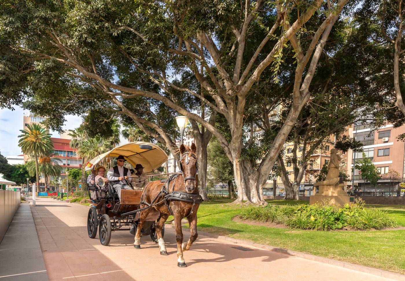 Blanca-Paloma-General-view-1