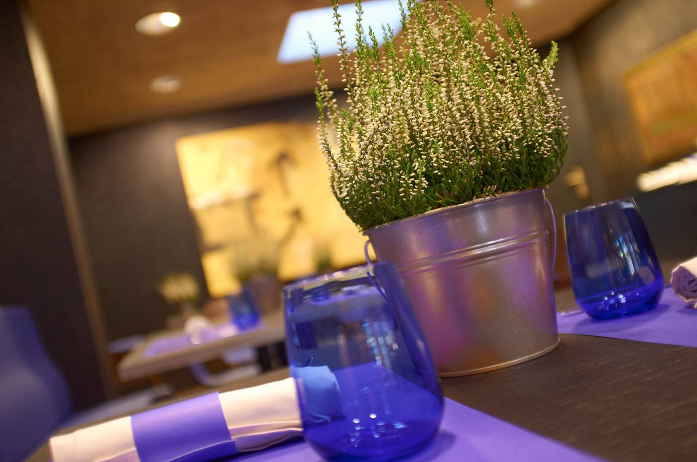 Carlemany-Restaurant-36