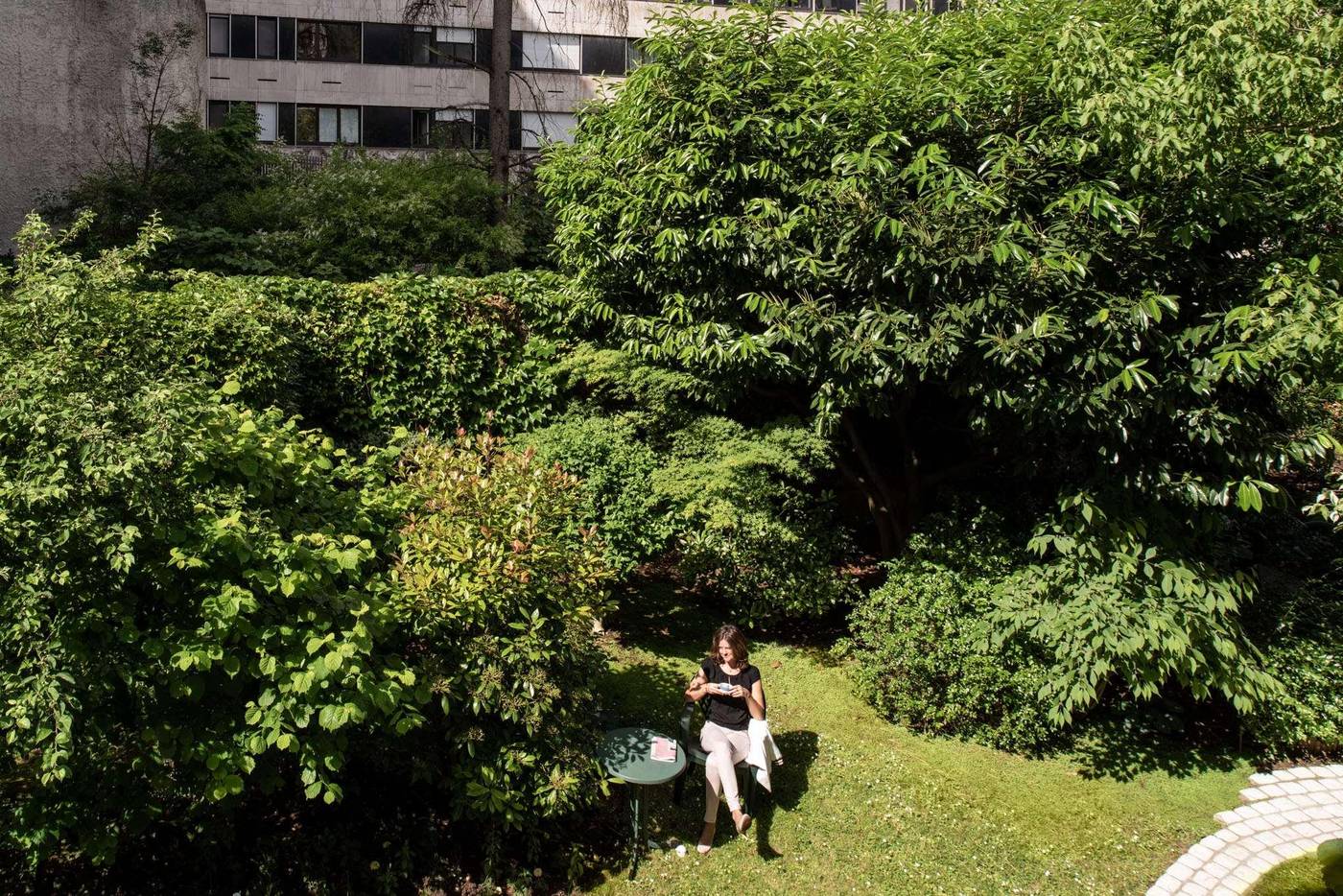 Abaca-Messidor-by-Happyculture-General-view-47