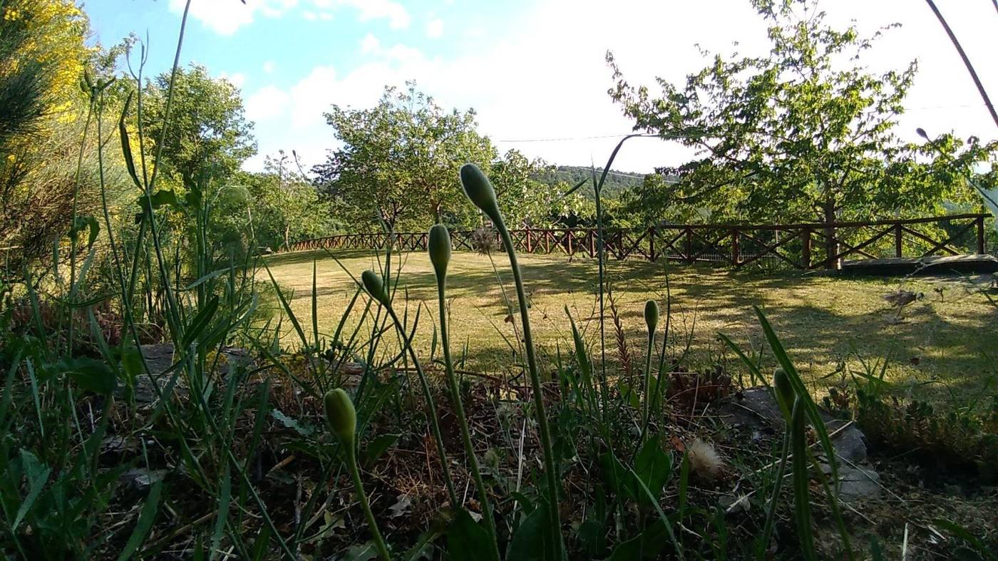 Bed And Breakfast Country Hill-Italy-AREZZO-General view-5