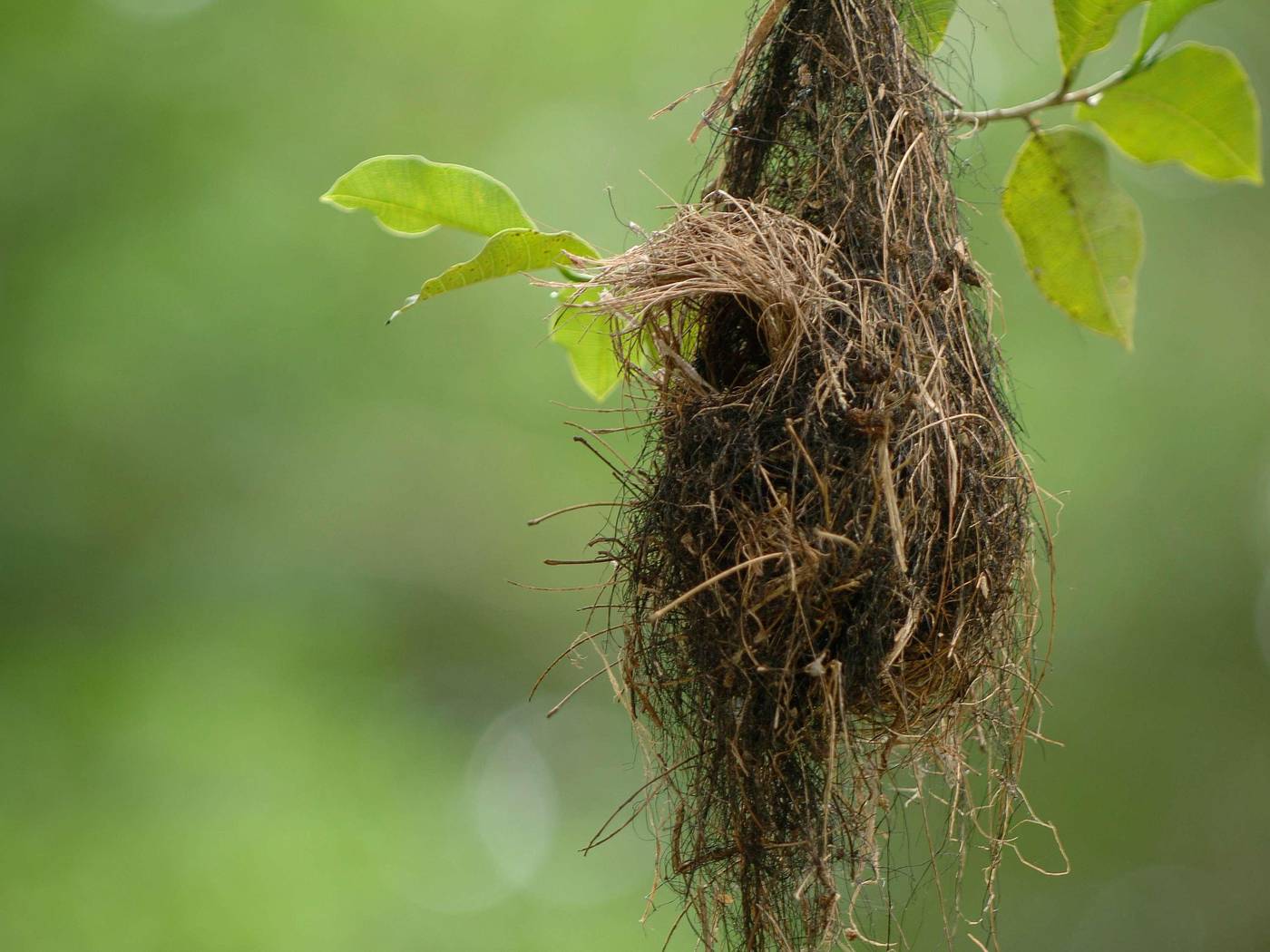 Fairmont-Mayakoba-General-view-118