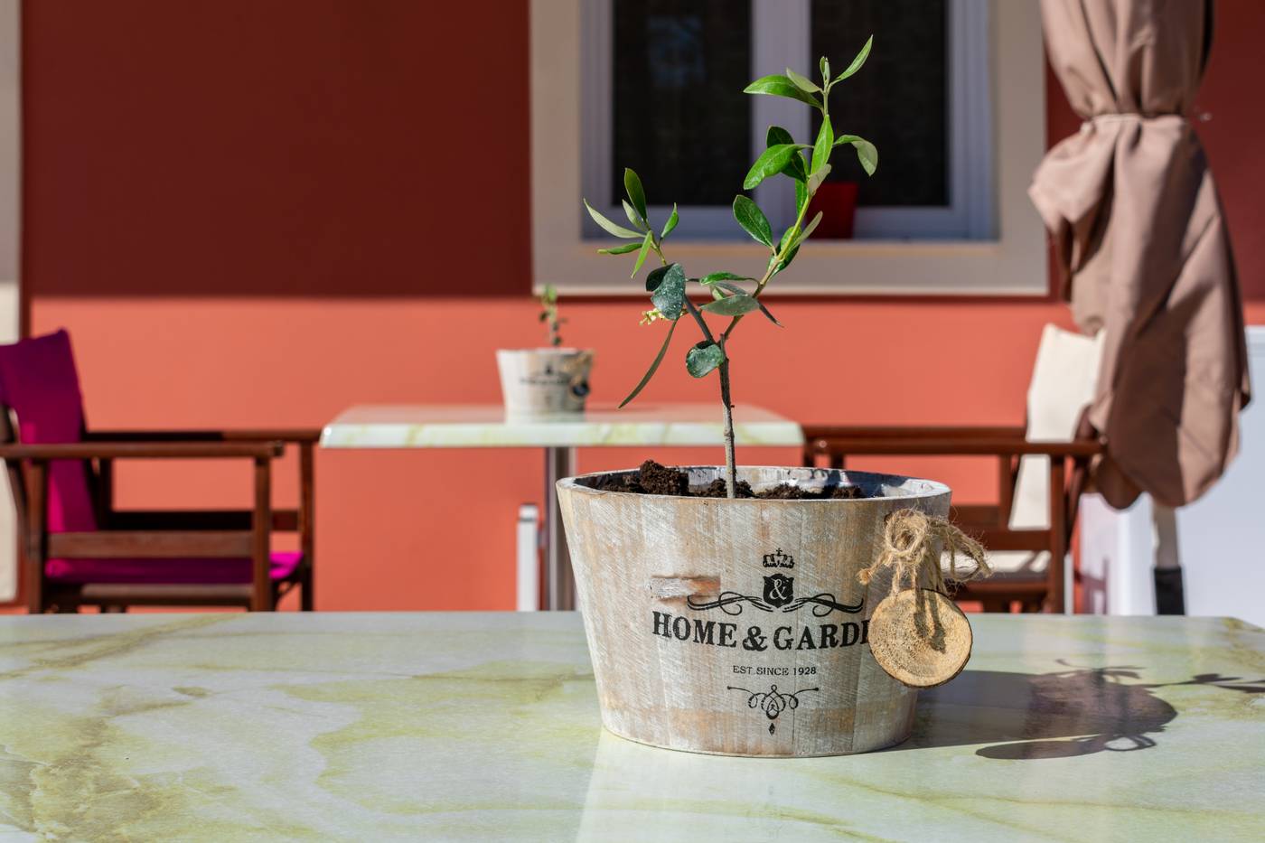 Zante-Pantheon-Hotel-Terrace-11