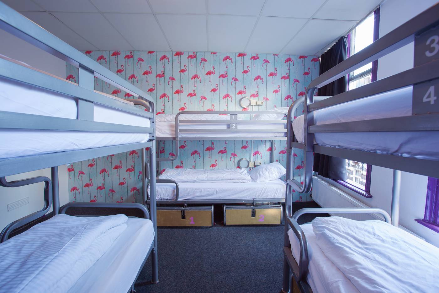 Flying-Pigs-Downtown-Hostel-Amsterdam-Room-5