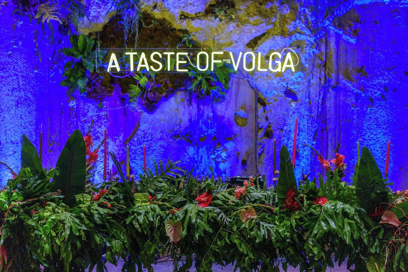 Hotel Volga-Mexico-Ciudad de México-Lobby-10