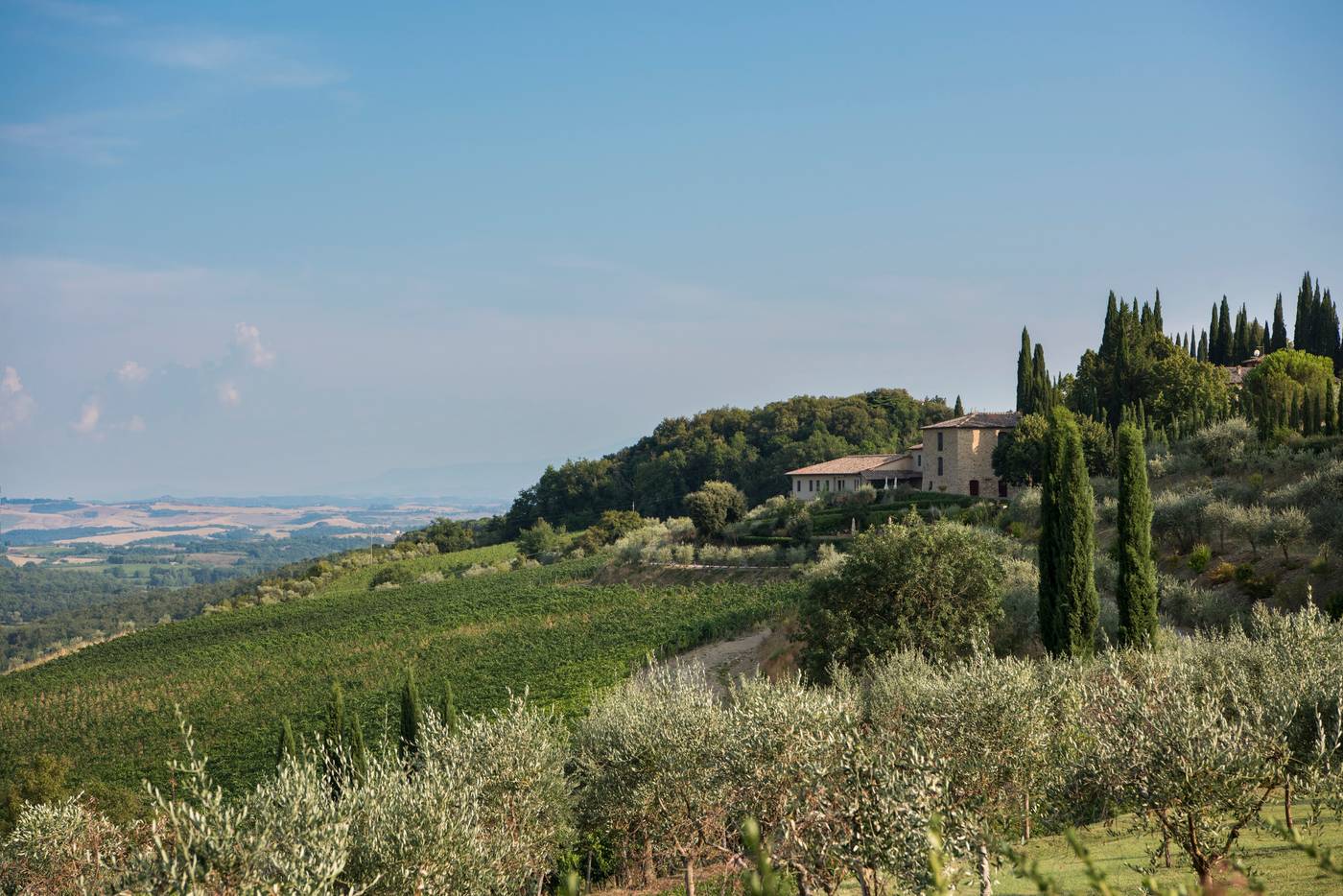 Hotel Le Fontanelle-Italy-PIANELLA, CASTELNUOVO BERARDENGA - SIENA-General view-10