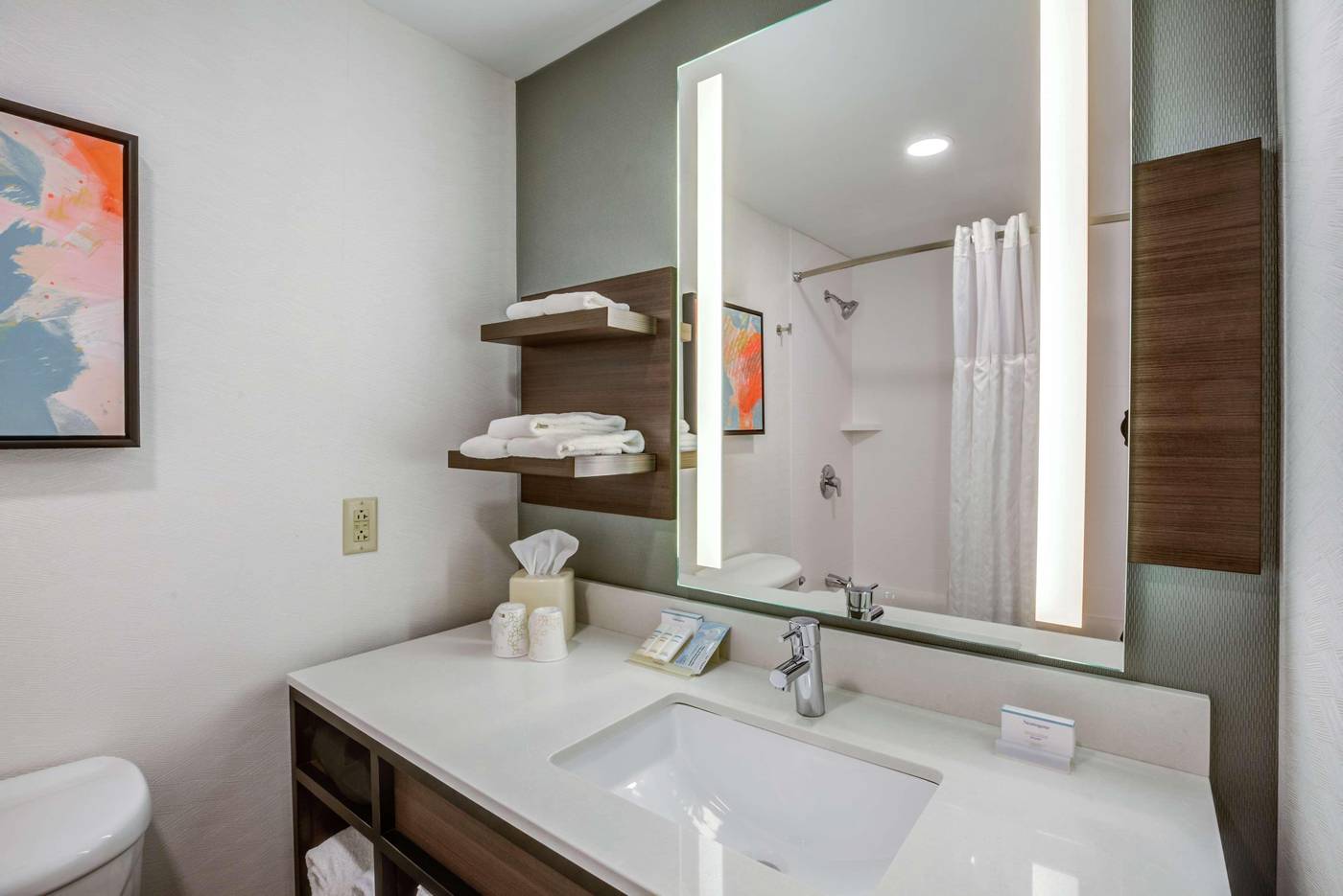 Hilton-Garden-Inn-Boston-Waltham-Room-24